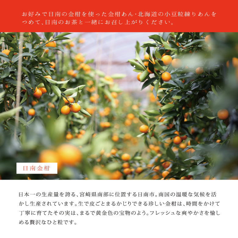 運つつみのギフト 結《鵜戸神宮の御神水入りの金柑餡と小豆餡がセットになった一口最中の縁起菓子》