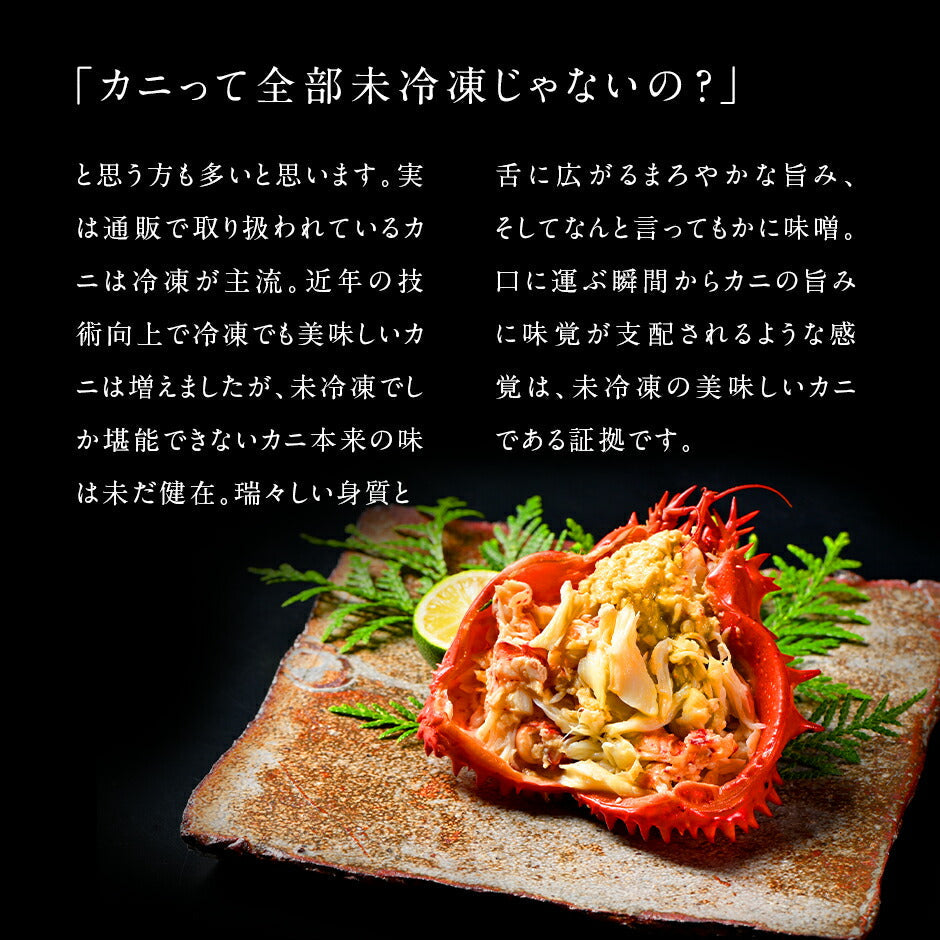 【水揚げ次第お届け】【獲れたて未冷凍】根室産 チルド花咲ガニ(姿) 400-500g前後 【2尾セット】【送料無料】【2025年新物】