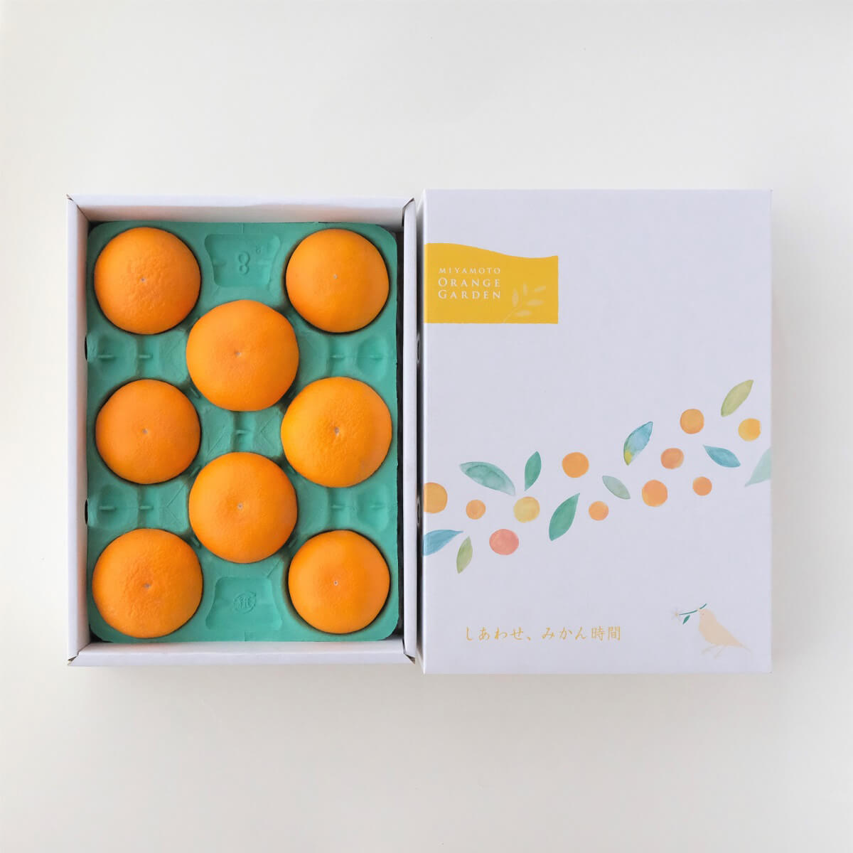 愛媛産 清見 贈答箱入り 6~15個(約2kg)