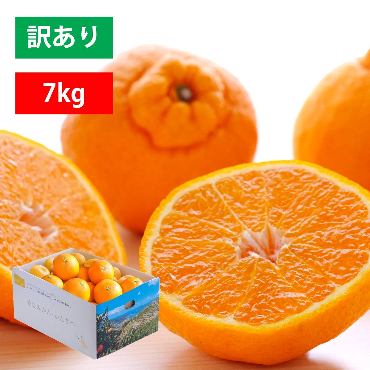 愛媛県八幡浜市産 不知火(しらぬい) デコポンと同品種