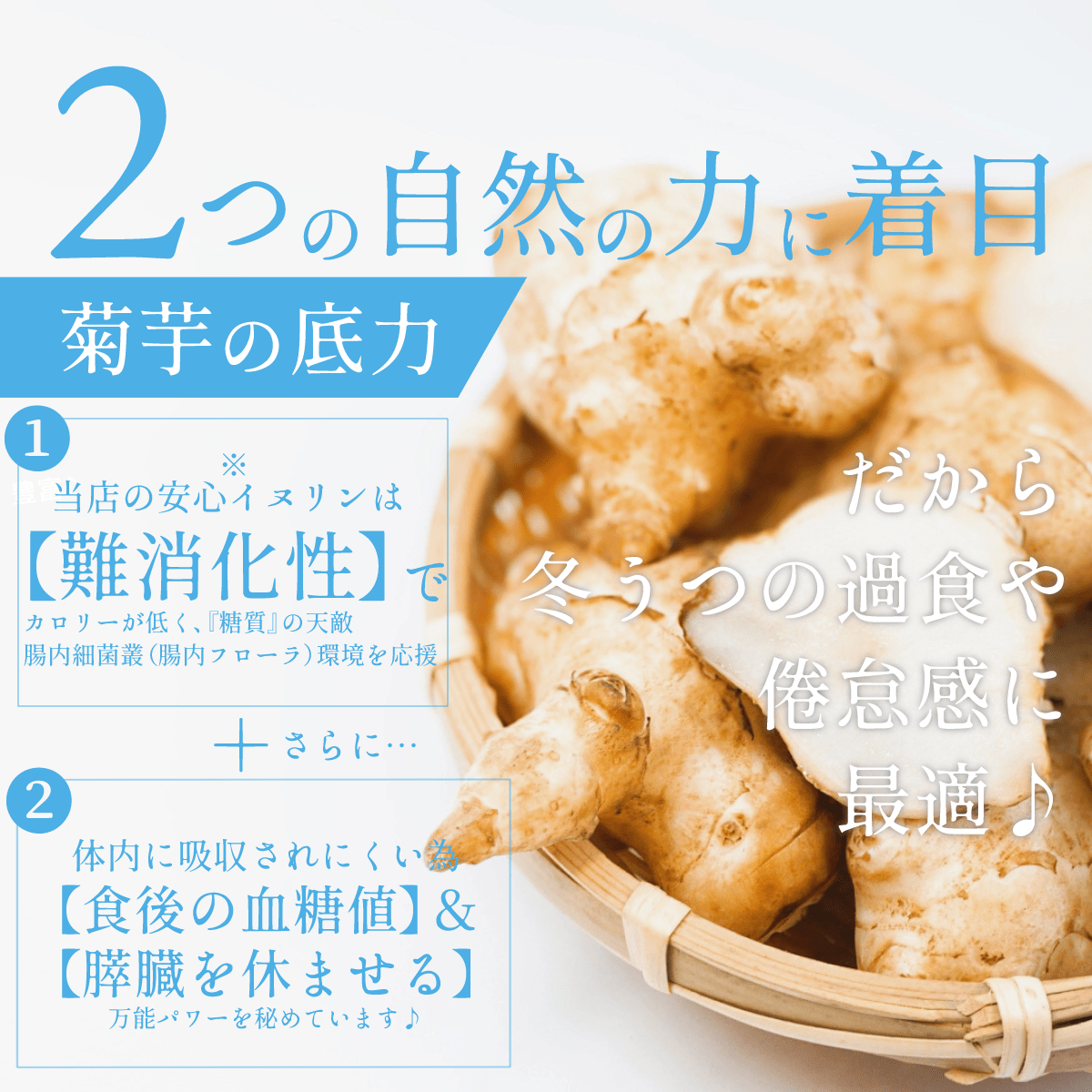 【冬ひめ桑茶1ヶ月分(30個入)・送料無料】 菊芋 しょうが ぽかぽか 腸活