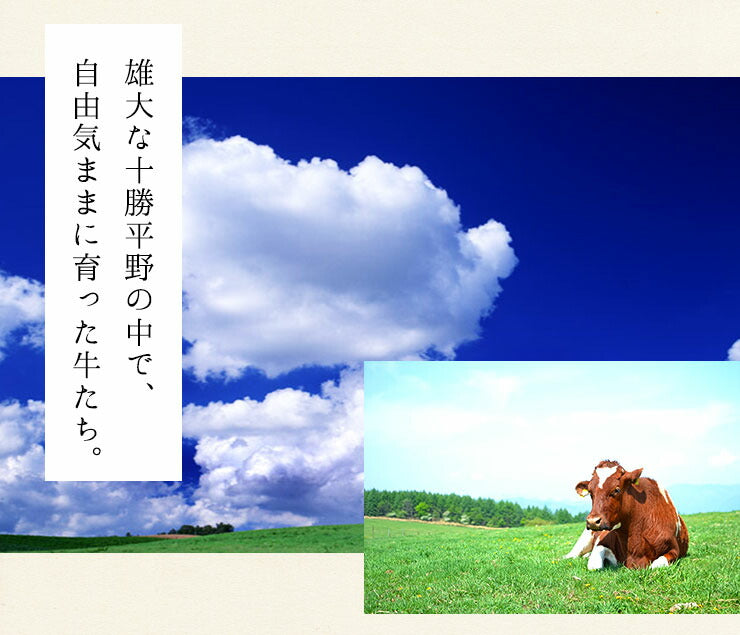 牛とろフレーク 十勝スロウフード　360g　北海道 牛肉 牛フレーク【送料無料】