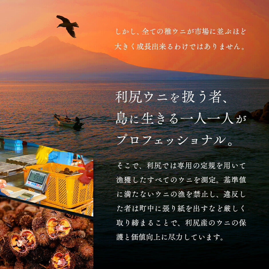 うに 北海道 利尻島産 生エゾバフンウニ 80g (うに丼1杯分) 【送料無料】内祝い 雲丹 無添加 生うに 塩水パック 塩水ウニ ギフト グルメ 食品 食べもの 海鮮 海鮮丼 寿司 贈り物 お取り寄せグルメ ミョウバン未使用