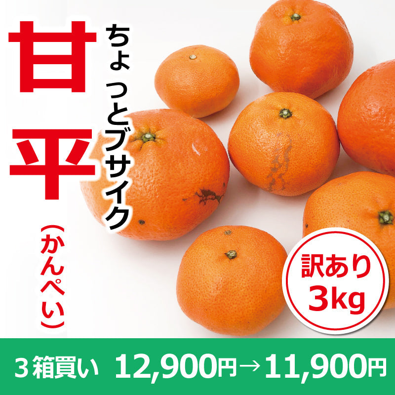 ※今季販売終了※【送料無料】ちょっとブサイク「甘平(かんぺい)」〈訳あり〉約3kg ※発送は1月下旬~2月上旬予定
