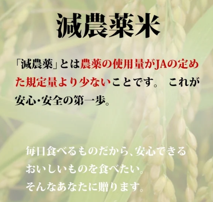 【深みのある味わい米!】中村さんちのコシヒカリ5kg  7年産新米【送料込み】