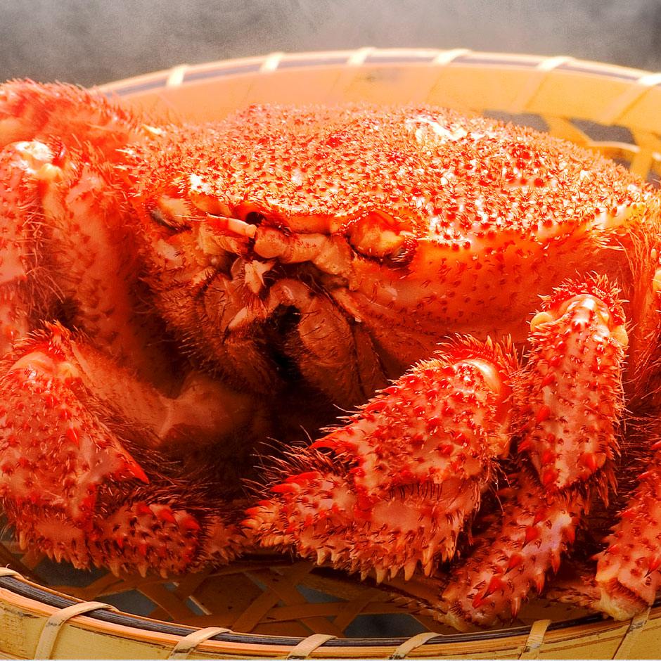【キズ有・ご自宅品】かに 北海道 枝幸産 毛蟹【送料無料】 お取り寄せグルメ