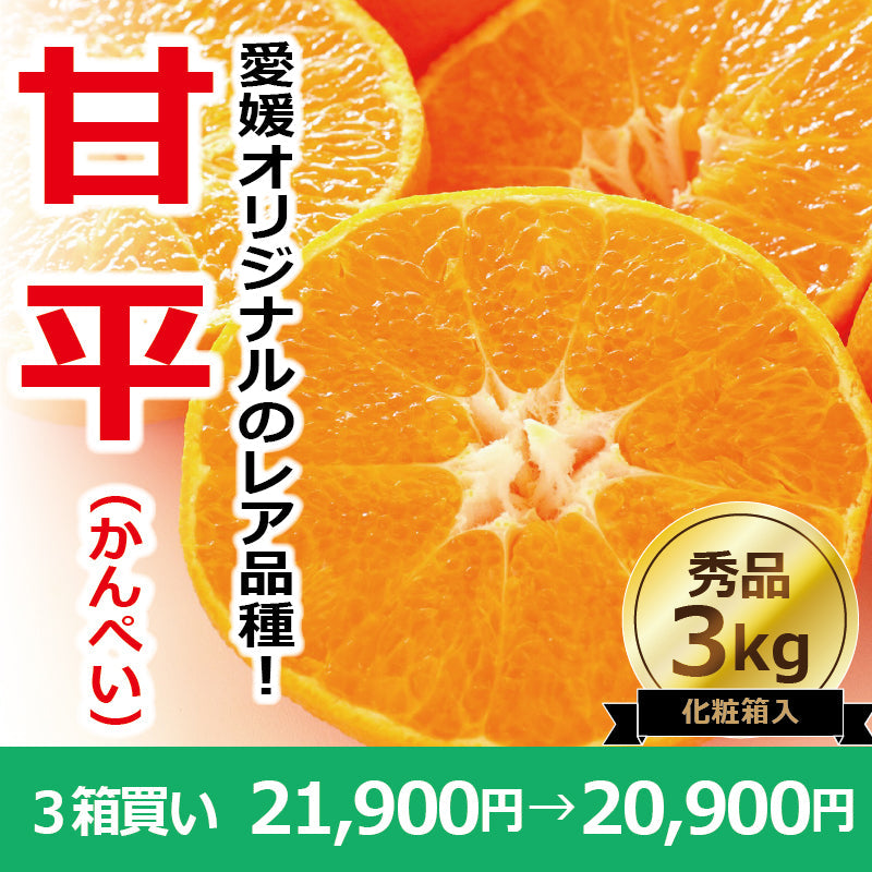 ※今季販売終了※【送料無料】高級ブランドかんきつ「甘平(かんぺい)」〈秀品・高級化粧箱入〉約3kg ※発送は1月下旬~2月上旬予定