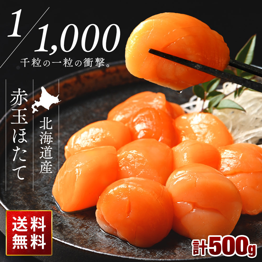 北海道産 お刺身用 赤玉ホタテ貝柱 500g 1000粒に1粒の衝撃