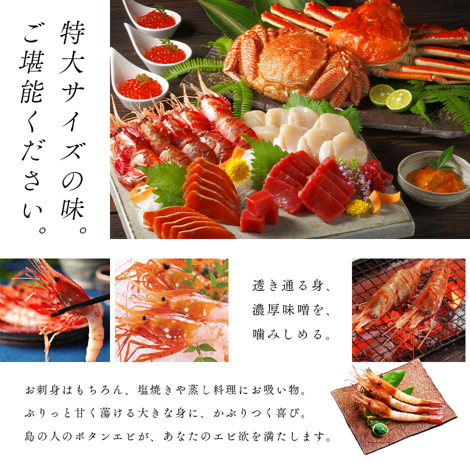【船凍品で鮮度抜群】ロシア産 ボタンエビ 500g(10-12尾前後)【送料無料】