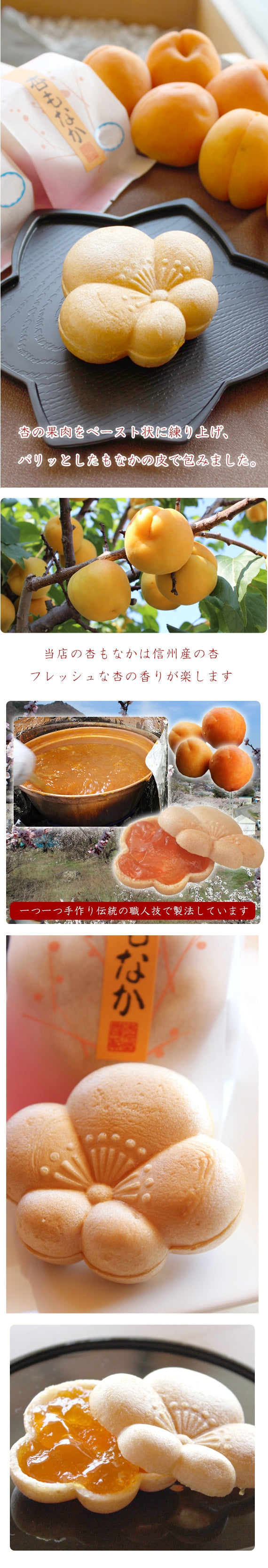 【信州産】【雑誌VERYモデル佐田真由美さん喜ばれる手土産で紹介!】 杏もなか20個入【和菓子】