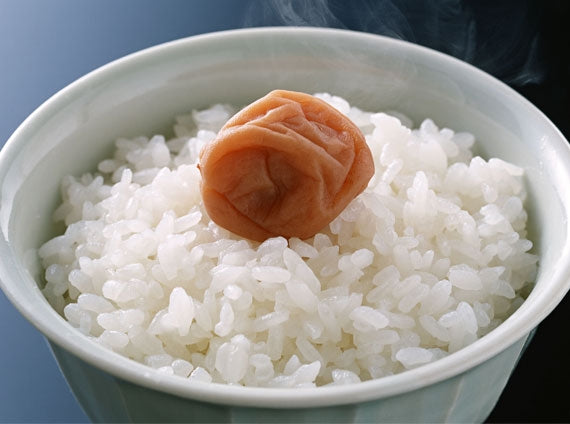 福井いいごはん本舗