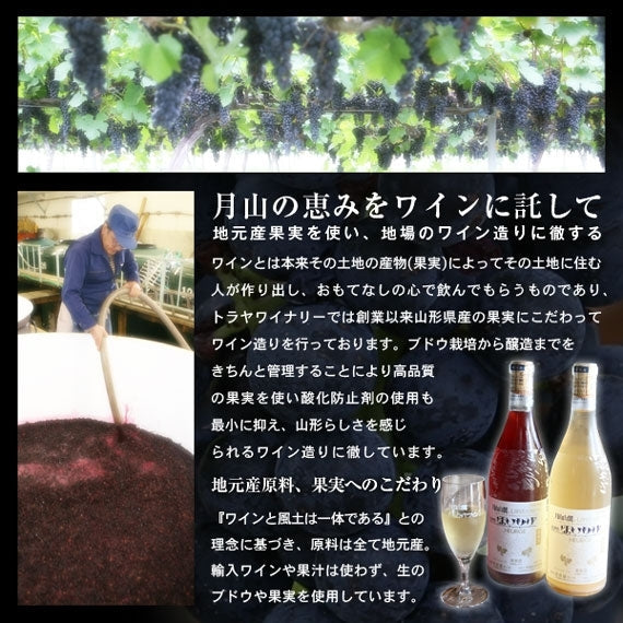 【完売御礼】月山山麓　白ワイン　辛口　1.8L（やや辛口）【酒・ジュース・飲料】