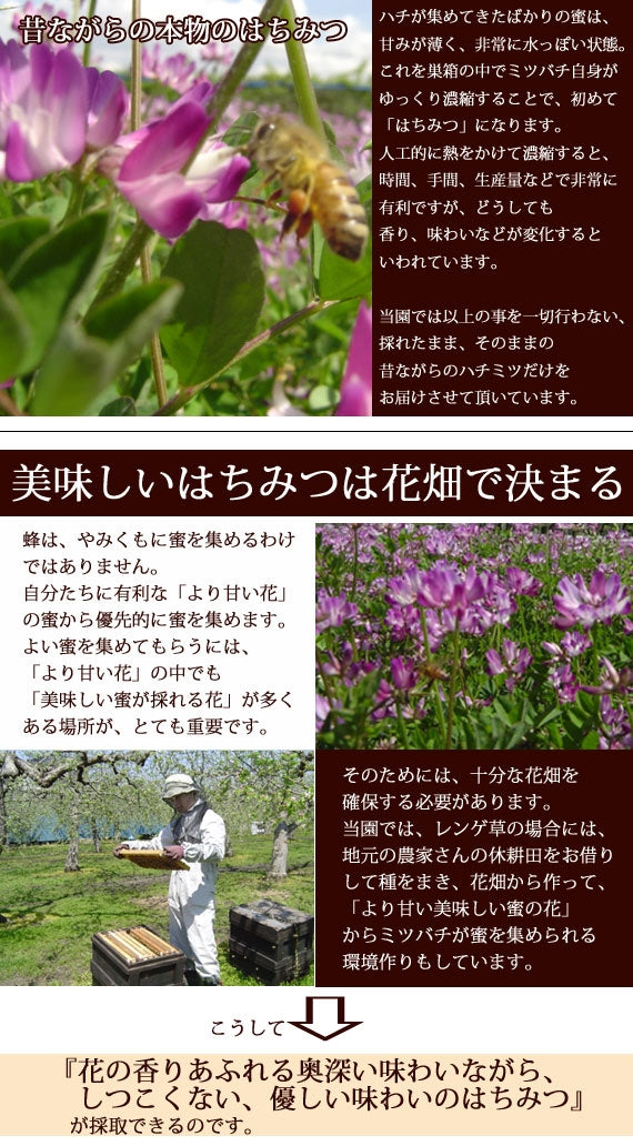 ミックスハチミツ500gボトル (500g)