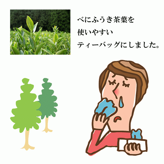 花粉の季節に!黄綬褒章受章園 北村製茶の有機緑茶      べにふうきティーバッグ
