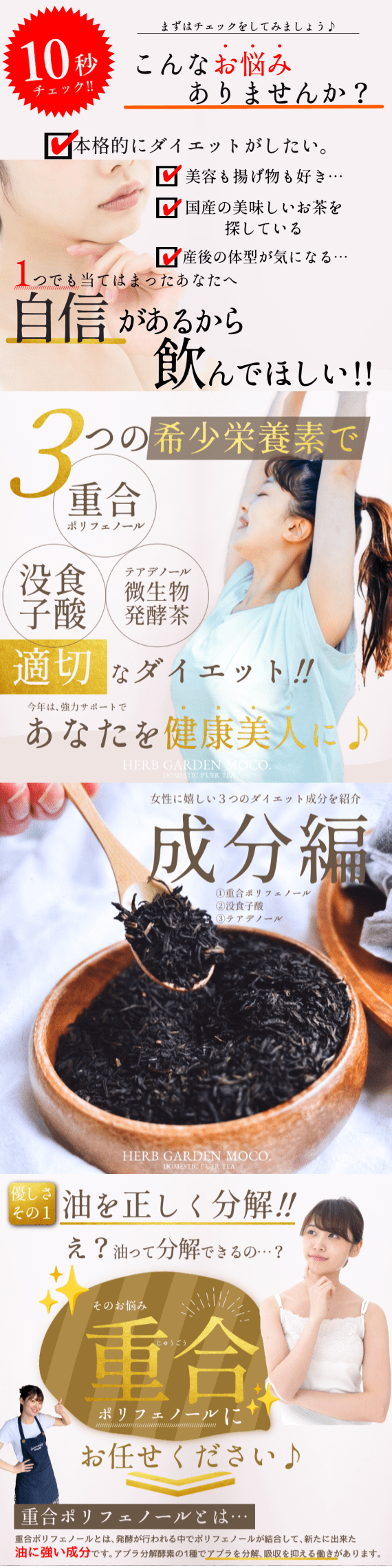 国産プーアール茶・健康美人の習慣スリム茶【お試し10個入・送料無料メール便】