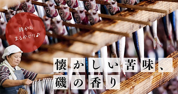 【極上のメヒカリにちりめん、うるめイワシを召し上がれ!】TOTOROセット≪(冷凍便※季節によって変更があり≫