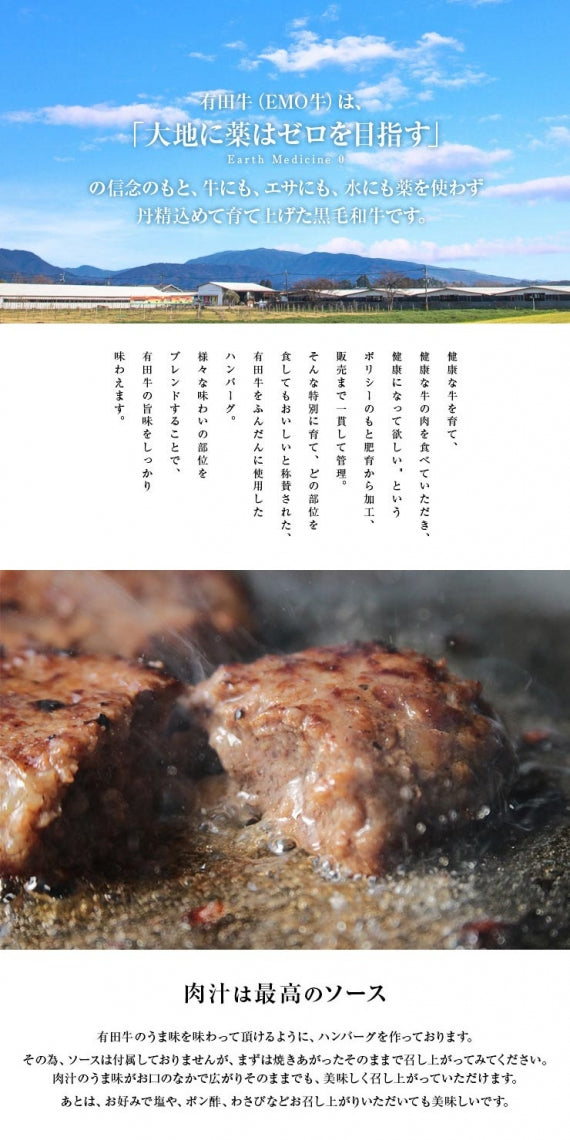 お歳暮 御歳暮 プレゼント ギフト ハンバーグ 有田牛 宮崎県産 黒毛和牛 EMO牛 エモー牛 手ごねハンバーグ 100g×5個 冷凍食品 おかず お取り寄せグルメ  ハンバーグステーキ 卵不使用 焼き温めるだけ ホルモン剤不使用 抗生物質不使用 遺伝子組換え飼料不使用 ホルモンフリー