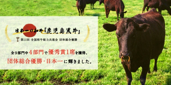 【送料無料】鹿児島県産黒牛焼き肉食べ比べセット