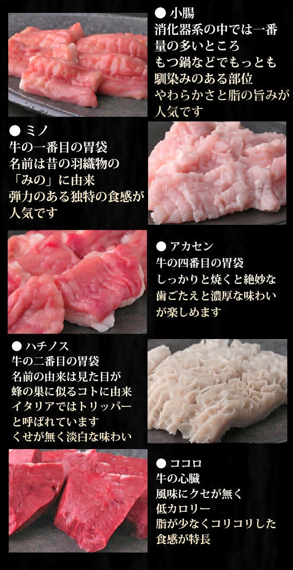 【スタミナグルメ!】 国産牛ホルモン詰め合わせ5種セット(500g)全国一律送料無料