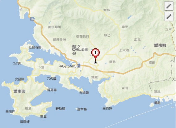 ■販売終了■河内晩柑の品種の中でも1番人気!”あいなんゴールド(河内晩柑)”約7.5kg 4L~2Lサイズ(12~18玉入)サイズ指定不可