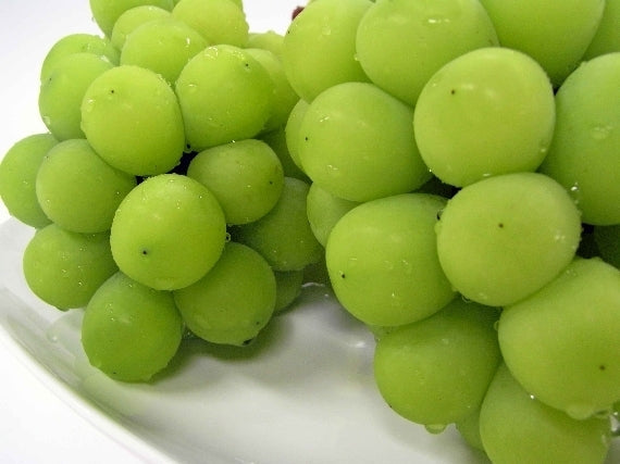 岡山県産 シャインマスカット【晴王】【特秀】1房(約1kg)JA全農おかやま