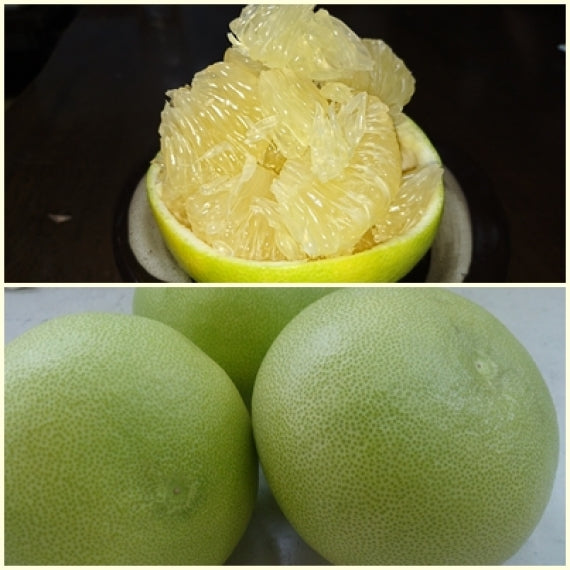 【お徳用】【温室育ちの水晶文旦】(お徳用L~3L混合)たっぷり4.5キロ以上入り、「送料込一部地域を除く」