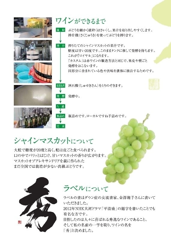 シャインマスカットワイン(甘口)750ml【2本入】【地域限定送料込】