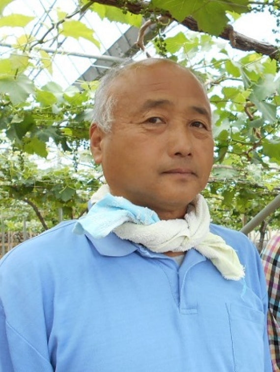 シャインマスカットスパークリングワイン 750ml【6本入】【地域限定送料込】