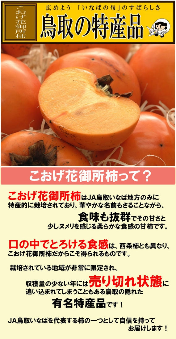 【鳥取特産】こおげ花御所柿 自家用5kg L~M 22~24玉【送料無料】【GI登録】【発送12月上旬】