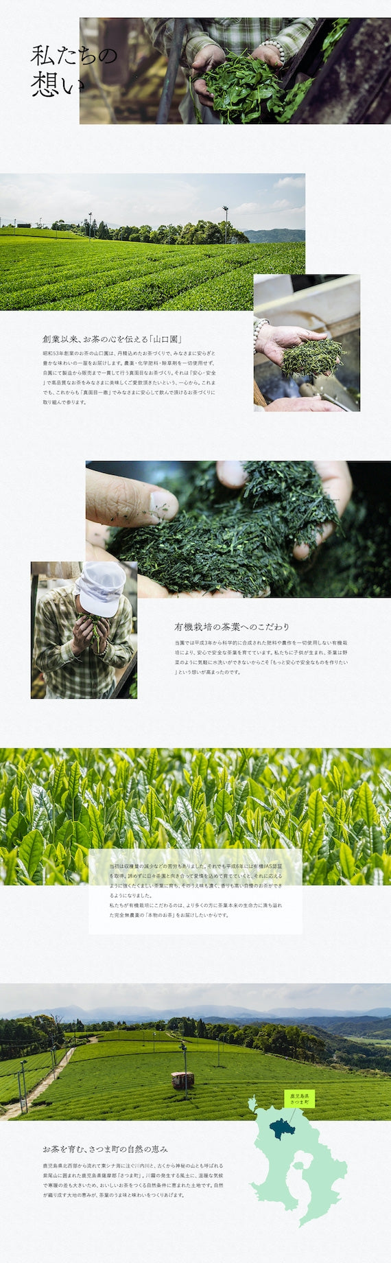 【Japanese Tea Selection Pari 受賞茶】有機薩摩銘茶 特選・極の２種セット。ギフト箱に入れてお届けします【数量限定】