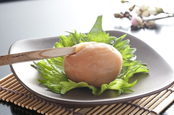 【勝喜梅】はちみつ仕立て「極」6包 大粒の紀州南高梅 梅干し 個包装ギフト