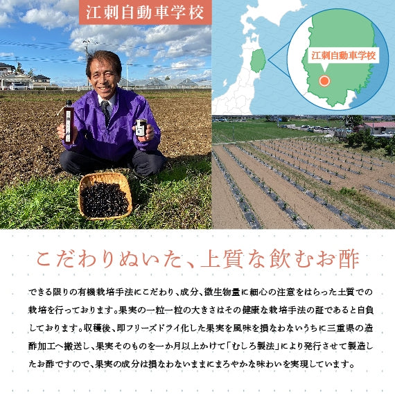 GH(ガーデンハックルベリー)飲む酢2本 セット