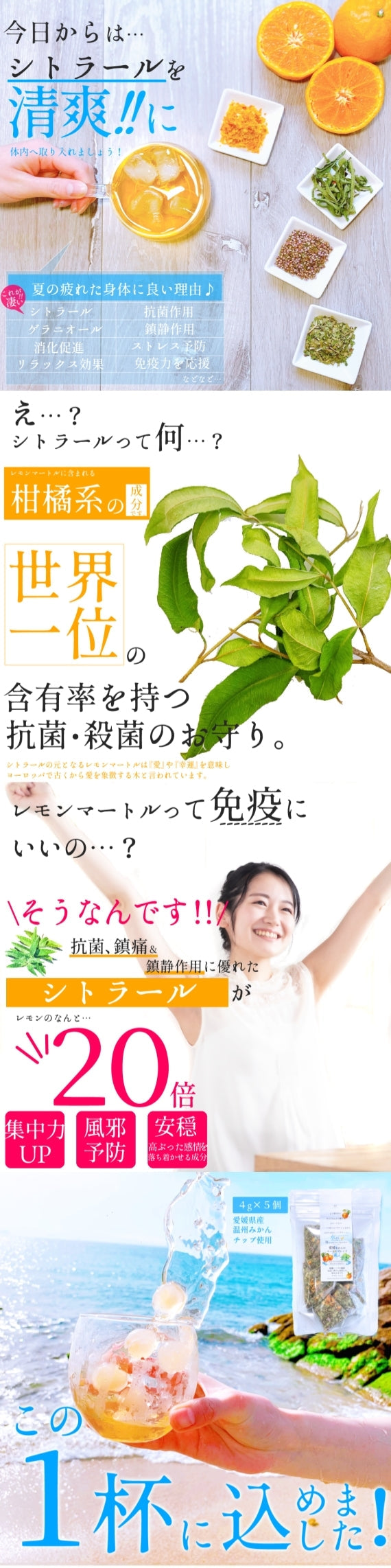 【送料無料・ネコポス便】水出し用『愛媛みかんのマートルブレンド』・お手軽・簡単