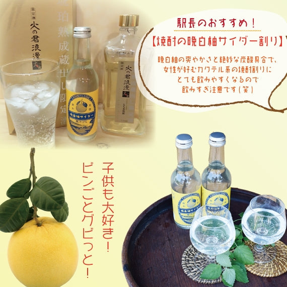 【贈り物にもおすすめ】晩白柚サンダー24本 夏のさっぱりドリンク
