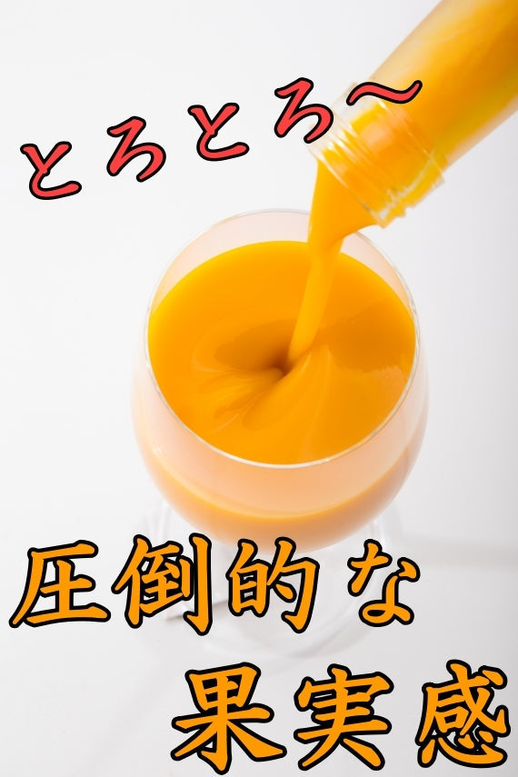 宮崎果汁 とろとろ マンゴードリンク6本セット