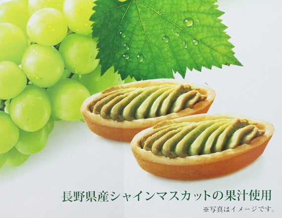 信州シャインマスカットタルトケーキ 信州長野林檎お菓子りんごお土産