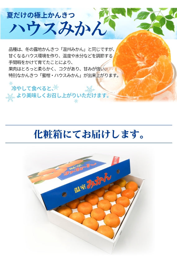 ※今季販売中止※【送料無料】愛媛県産ハウスみかん〈秀品〉約2.4kg※チルド便発送