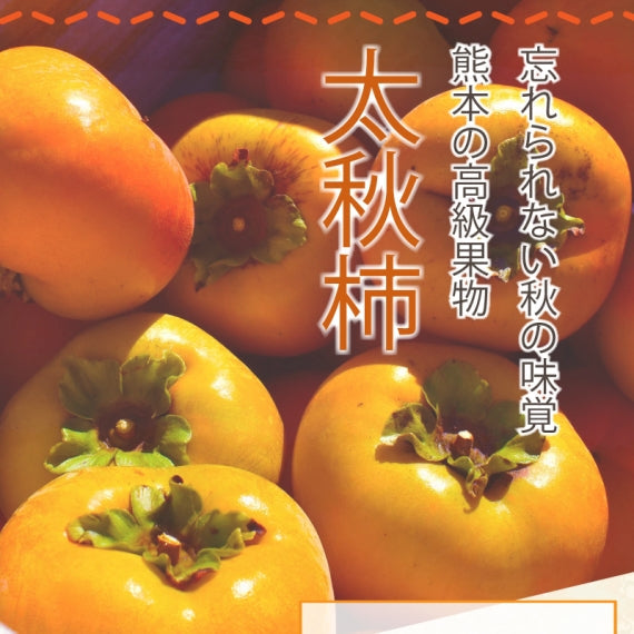 熊本自慢の逸品!秋の味覚『太秋柿』3kg
