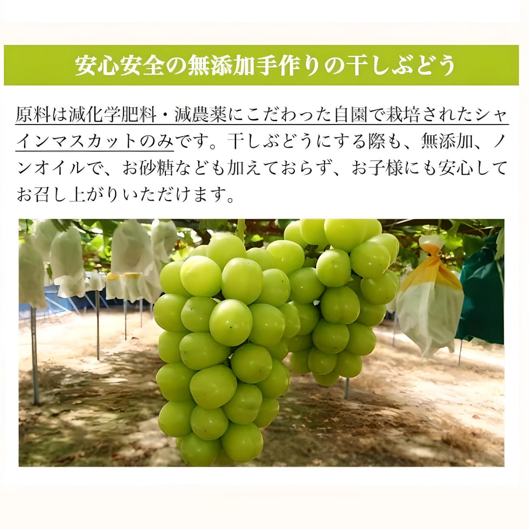シャインマスカット枝付き干しぶどう 2袋【今なら】希少な「神紅」干しぶどうおまけ付き!!