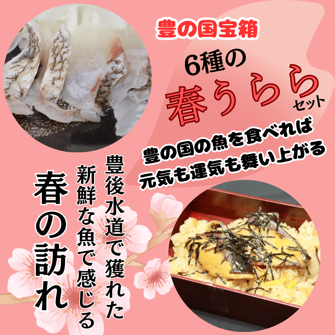 春うらら 豊後水道からの縁起魚6品