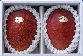 くまもと完熟マンゴー　2L玉×2個（計800g以上)【フルーツ】