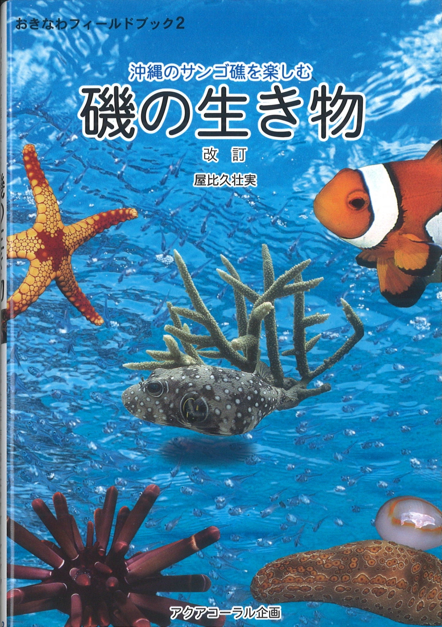 沖縄のサンゴ礁を楽しむ磯の生き物　改訂
