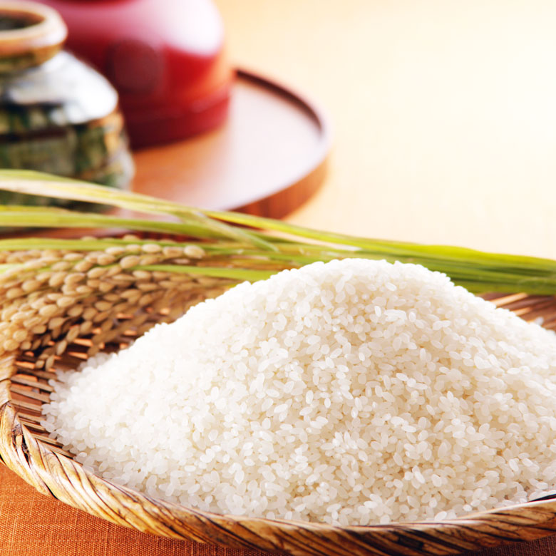 令和7年産 新米 新潟産コシヒカリ 900g/1.8kg/2.7kg/3.6kg 6合パック1袋~4袋 米 小分け お米 新潟 こしひかり 送料無料 お試し クロネコゆうパケット