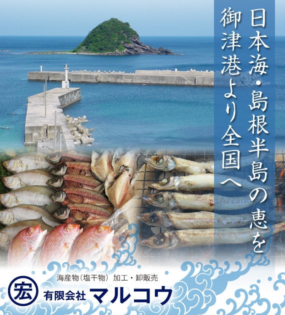 【日本海の恵みを山陰から】【送料無料】新鮮・豪華ひもの・だんだん5点セットA