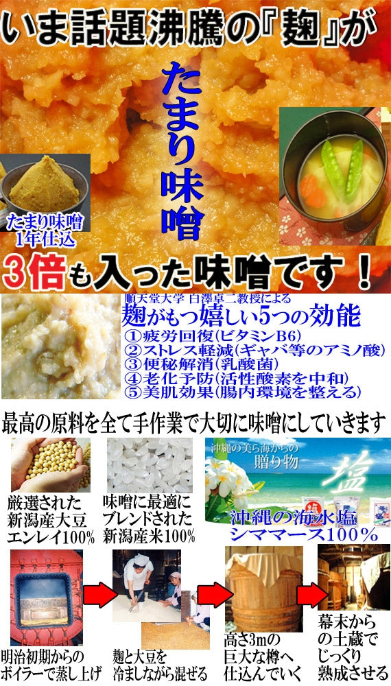 たまり味噌 十一代 1年仕込 400g