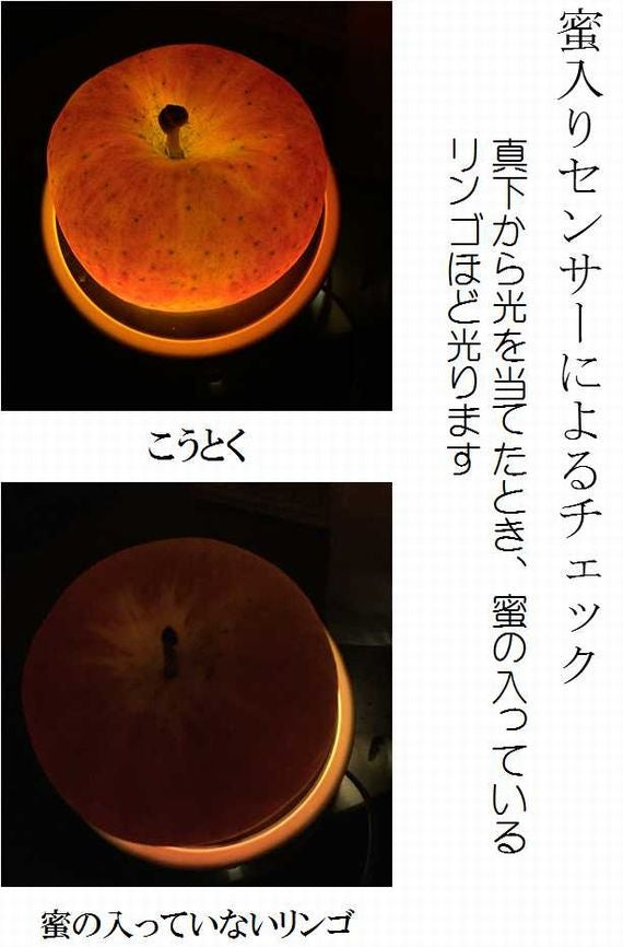 蜜がたっぷり!幻のリンゴ 「こうとく」【送料込み価格】