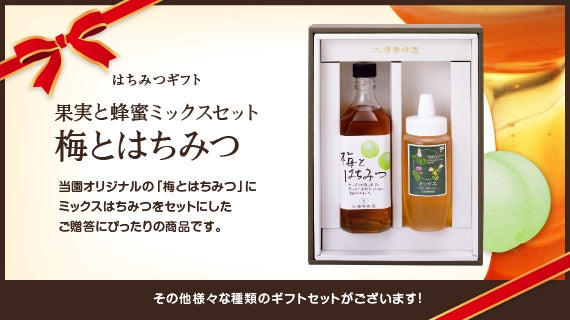 ハチミツギフト「果実と蜂蜜ミックス (梅とはちみつ)」セット (500ml×1本、500g×1本)