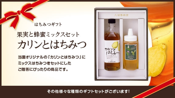 ハチミツギフト「果実と蜂蜜ミックス (カリンとはちみつ)」セット (500ml×1本、500g×1本)