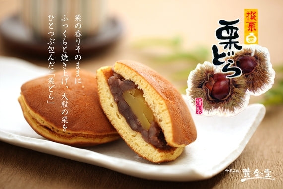 【送料込】黄金堂のどらやき 自慢の4種詰め合わせ(10個セット)
