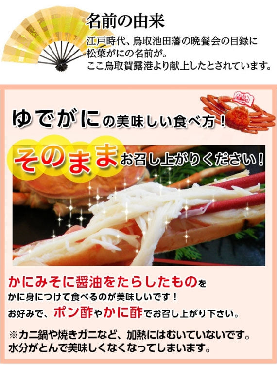 【先行ご予約販売】【鳥取賀露港直送】 松葉がに(オチ大中・ボイル) 600g以上